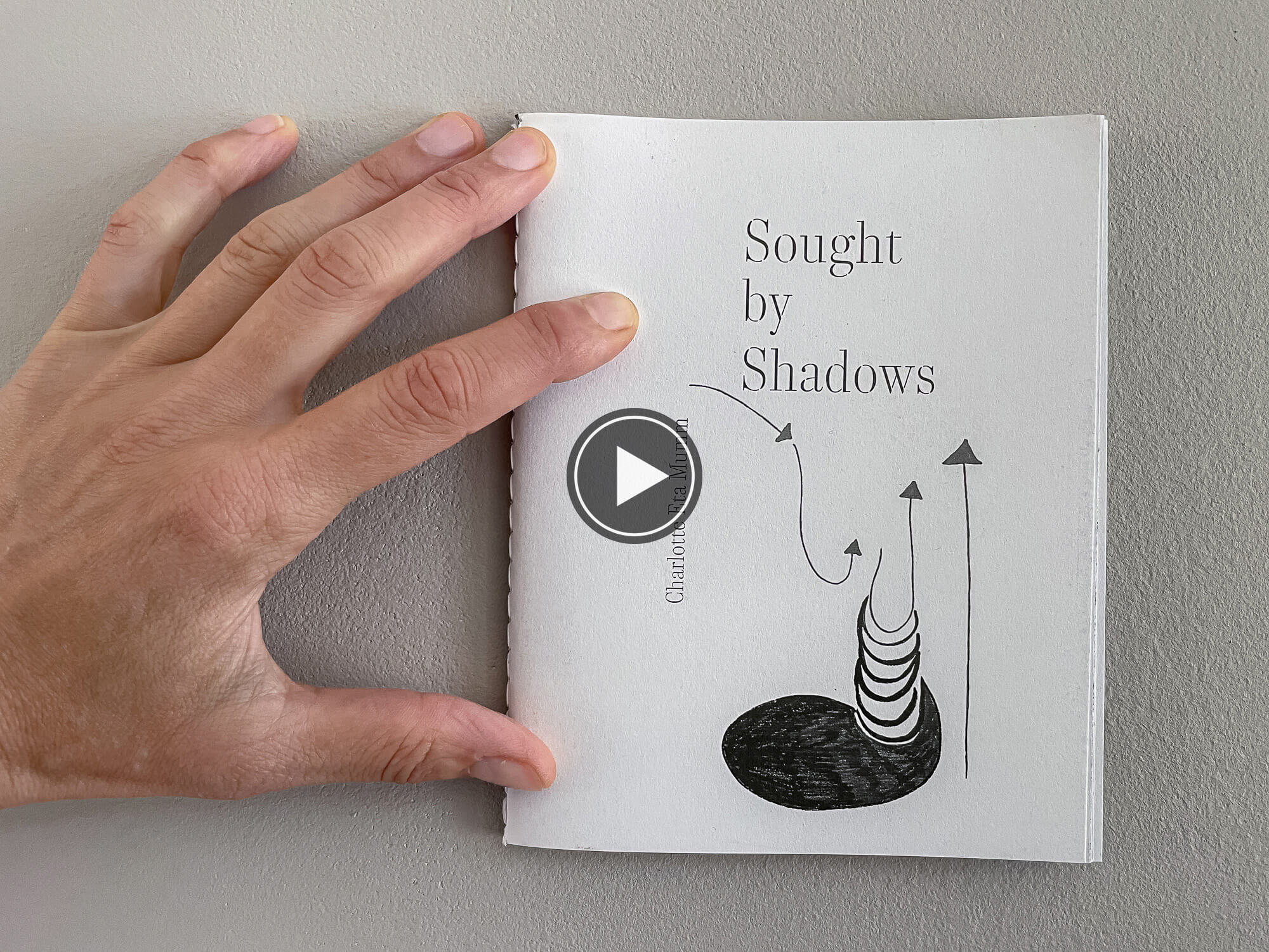 Sought by Shadows-3166-video play