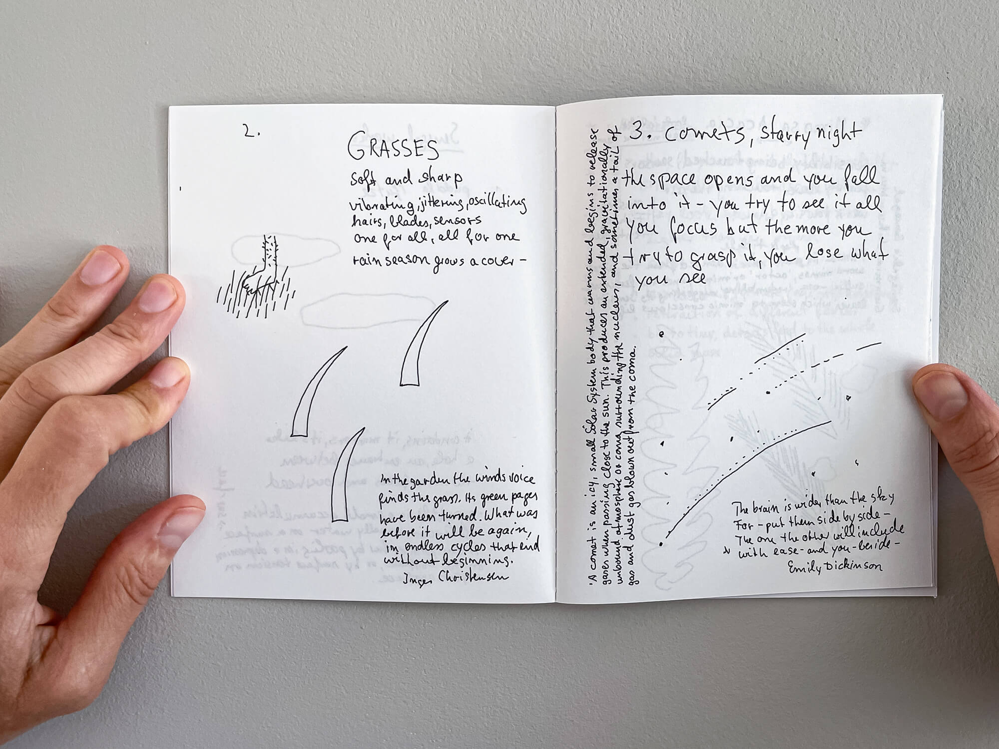 Sought by Shadows-3169