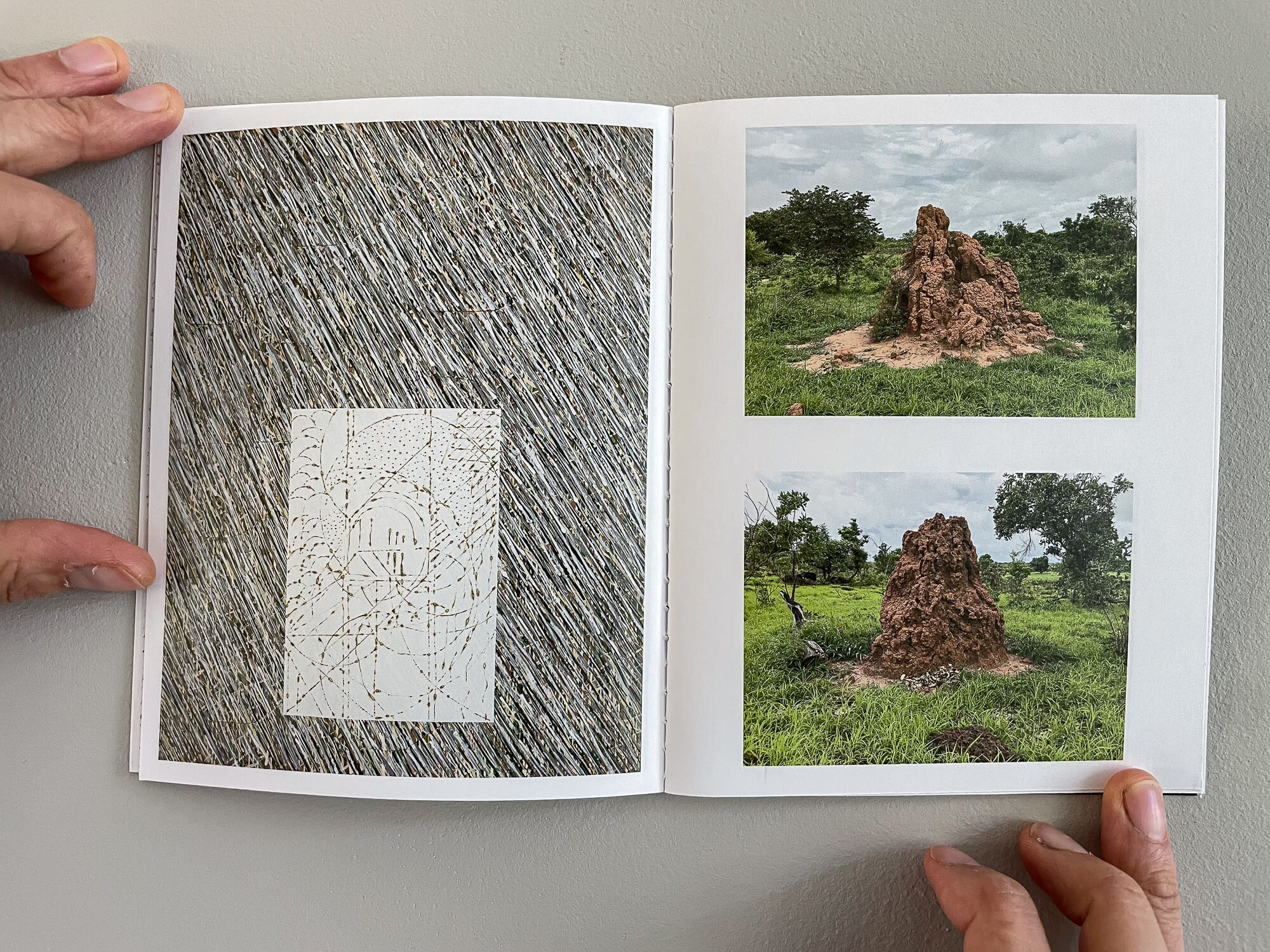 Sought by Shadows-3188