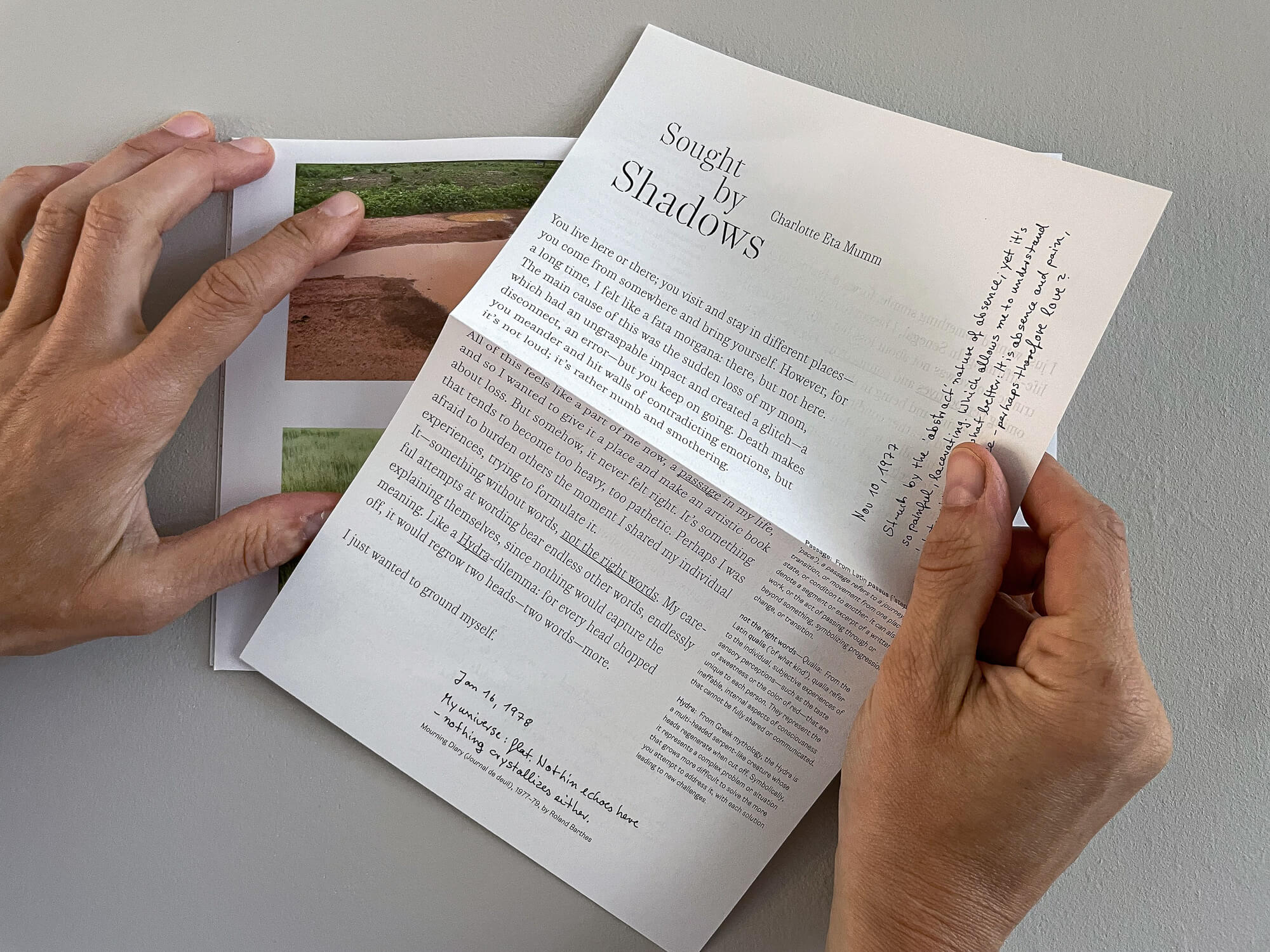 Sought by Shadows-3192