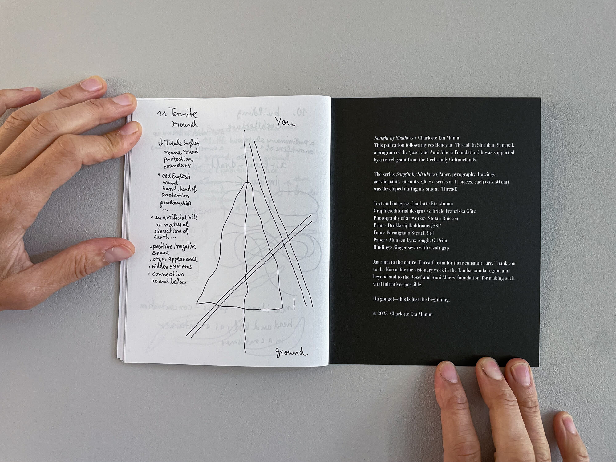 Sought by Shadows-3217